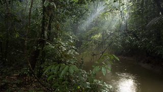 environment_amazon_320x180.jpg