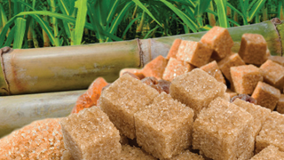 Sugar_etanol_plant_Brazil_case_story_320x180.jpg