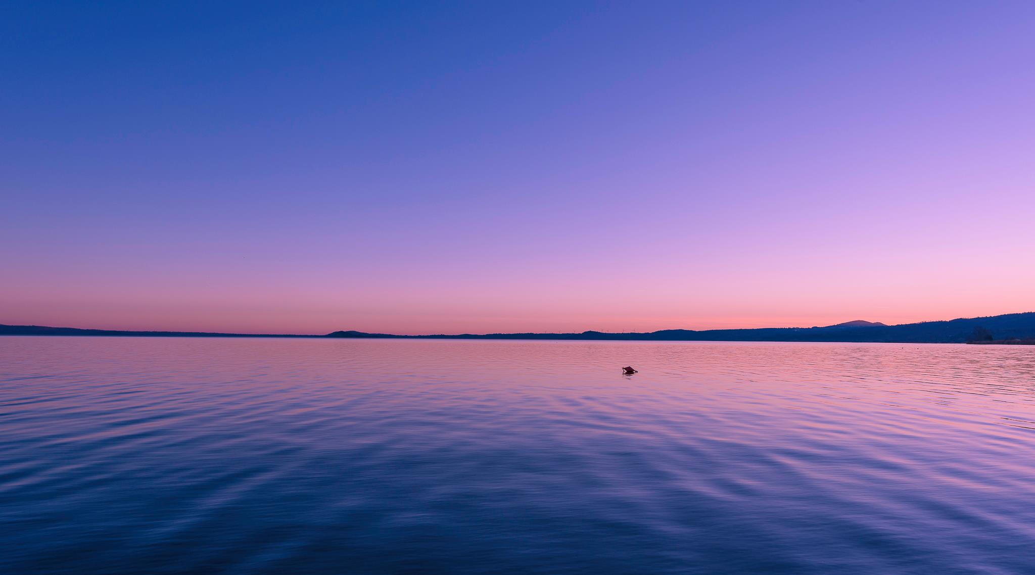 lago