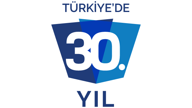 30yil logo