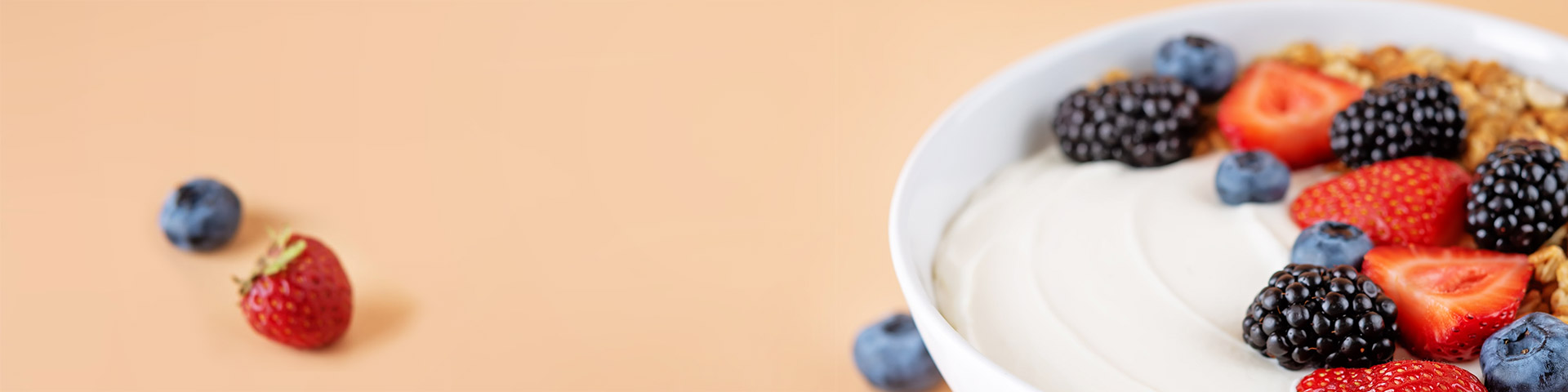 Where to use Alfa Laval Q517