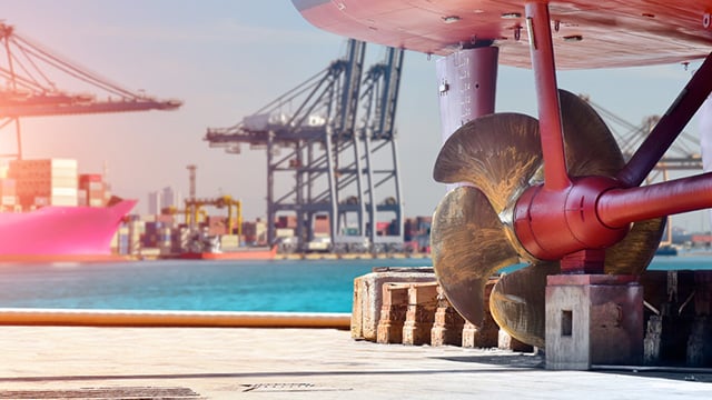 Area di gestione del biofouling &ndash; propulsione