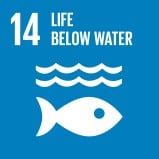 sustainable_development_goal_SDG_14 640x360.jpg